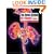 The Renal System at a Glance