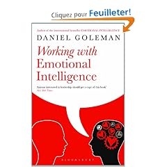Working with Emotional Intelligence