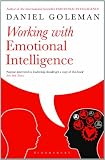 Working with Emotional Intelligence