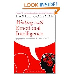 Working with Emotional Intelligence