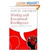 Working with Emotional Intelligence