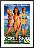 North Shore Framed Art Framed Poster Print, 31x43