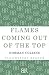 Flames Coming Out of the Top (Bloomsbury Reader Pod)