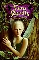 Faery Rebels: Spell Hunter (Faery Rebels)