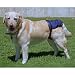 SnuggEase Dog Diapers, 2PK, X-Large