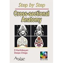 Cross Sectional Anatomy (Step by Step)