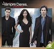 The Vampire Diaries 2011 Wall Calendar
