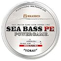 東レ(TORAY) シーバスPEパワーゲーム 150m 22ポンド 22lb
