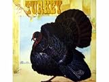 Turkey thumbnail