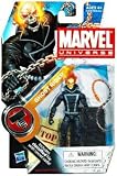 Marvel Universe 3 3/4 Inch Series 10 Action Figure Ghost Rider