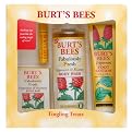 Burt's Bees Tingling Treats 4-pc. Gift Set