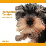 Yorkshire Terrier (Yorkie) 2009 Wall 12''x12'' Calendar by THE DOG Artlist Collection