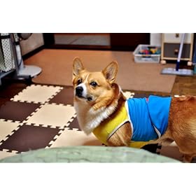�W���C���g�}�b�g�V���[�Y �J���[�}�b�g 8���g