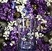 Briiith Ocean Bath Collection, Bathroom Tumbler Cup (Radiant Orchid)