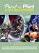 Books : Paint or Pixel: The Digital Divide in Illustration Art