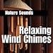 Peaceful Fantasy Wind Chimes