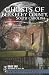 Ghosts of Berkeley County, South Carolina (Haunted America) Ghosts of Berkeley County, South Carolina (Haunted America)