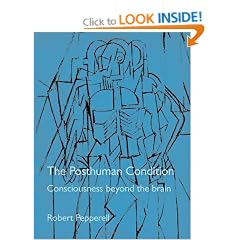 The Posthuman Condition: Consciousness Beyond the Brain, 3rd edition