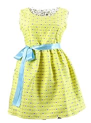 Jacquard Sleeveless Polka Dot Print  Dress