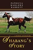 Shabangs Story: A Horse Adventure