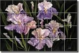 Collection of Irises by Carolyn Cook - Ceramic Tile Mural 17 x 25.5 Kitchen Shower Backsplash