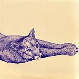 Type