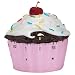 Boston Warehouse Cupcake Timer