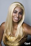 RnB Collection Synthetic hair Color #F4-30