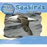 Seabirds (Weird, Wild, and Wonderful) ~ Julie Murphy