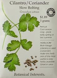 Cilantro Certified Organic Heirloom Seeds 200 Seeds