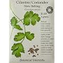 Cilantro Certified Organic Heirloom Seeds 200 Seeds
