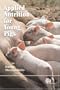 Applied Nutrition for Young Pigs