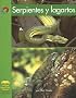 Serpientes Y Lagartos/ Snakes and Lizards (Yellow Umbrella Books: Science Spanish)