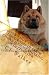 Chow Chow Dog Guide for Owners of Chow Chows & Those Thinking of Getting One: The Chow Chow dog breed definitive guide; Everything about Chow Chows ... Chows healthy and everything in between!!