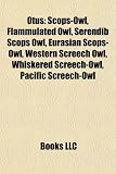 Produkt-Bild: Otus: Scops-Owl, Flammulated Owl, Serendib Scops Owl, Eurasian Scops-Owl, Western Screech Owl, Whiskered Screech-Owl, Pacifi