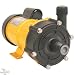 Pan World 50PX Magnetic Water Pump