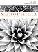 Book Xerophilia: Ecocritical Explorations in Southwestern Literature