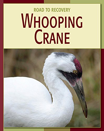 Whooping Crane (21st Century Skills Library: Road to Recovery)