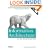 Information Architecture for the World Wide Web