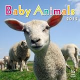 2012 Baby  Animals Wall calendar