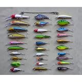 Pellor 30 Bass Saltwater Freshwater Fishing Lures Lot Bait Tackle Hook