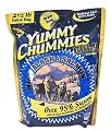 Arctic Paws 2-12-pound Yummy Chummies Gold 95 Salmon Bulk Treats from KLEARWATER MFG & DIST