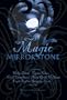 Magic in the Mirrorstone: Tales of Fantasy