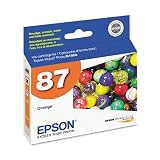 Epson T087920 - T087920 UltraChrome Hi-Gloss 2 Ink, Orange-EPST087920