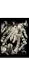 Glow in the Dark Engraving Tarantula