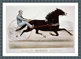 Historic Print (M): Grand pacer Richball, record 2:12 1/2 owned by D.L. Hughes, Keokuk, Iowa, driven by Jame Image