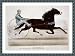 Related Historic Print (M): Grand pacer Richball, record 2:12 1/2 owned by D.L. Hughes, Keokuk, Iowa, driven by Jame Image