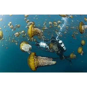 Océans [Édition Digibook Collector + Livret]