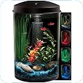 Aquarium Starter Kits