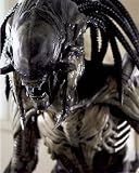 Alien vs. Predator AvP 16x20 Photo